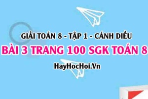 Giải bài 3 trang 100 Toán 8 Tập 1 SGK Cánh Diều